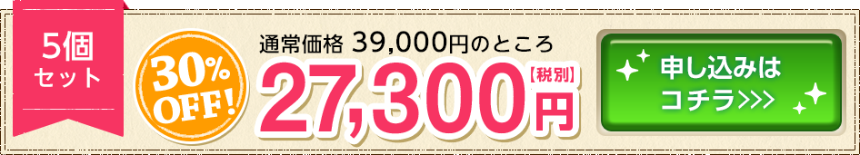 30%OFF 5個セット 27,300円(税別) お申込みはこちら